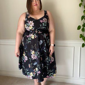 City Chic Fit and Flare Dress with Belt